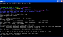 QEMUでのKNOPPIXのKernelPanic