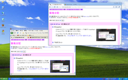 FF3 and GoogleChrome