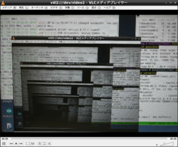 gphoto2 video