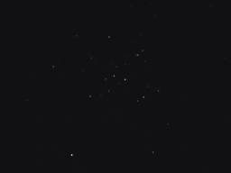 M41
